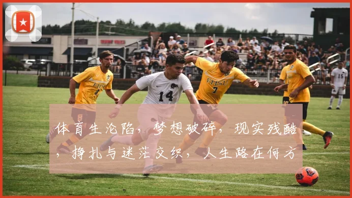 体育生沦陷，梦想破碎，现实残酷，挣扎与迷茫交织，人生路在何方