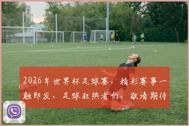 2026年世界杯足球赛，精彩赛事一触即发，足球狂热者们，敬请期待