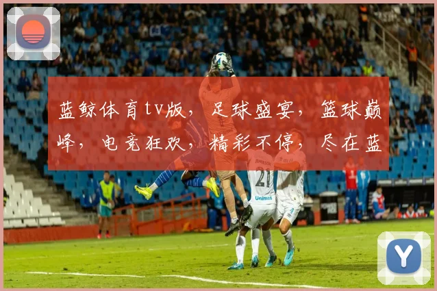 蓝鲸体育tv版，足球盛宴，篮球巅峰，电竞狂欢，精彩不停，尽在蓝鲸体育tv版