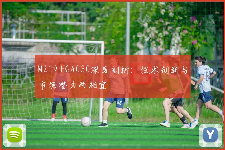 M219 HGA030深度剖析：技术创新与市场潜力两相宜