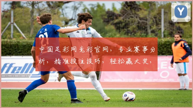 中国足彩网竞彩官网，专业赛事分析，精准投注技巧，轻松赢大奖，不容错过